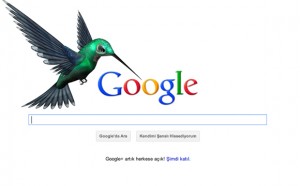 Google humminbird google search queries
