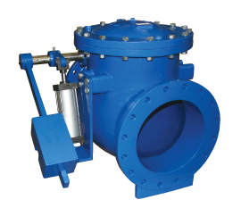 Weight and lever check valve